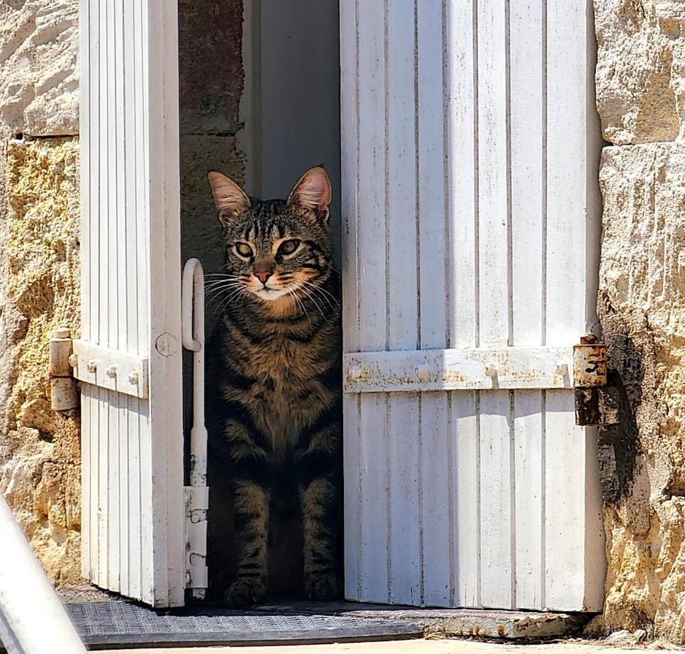 Gite Le Bonheur Hiersac Buitenkant foto
